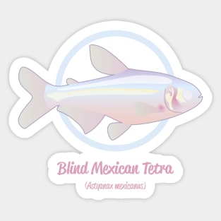 Blind Mexican Tetra Sticker